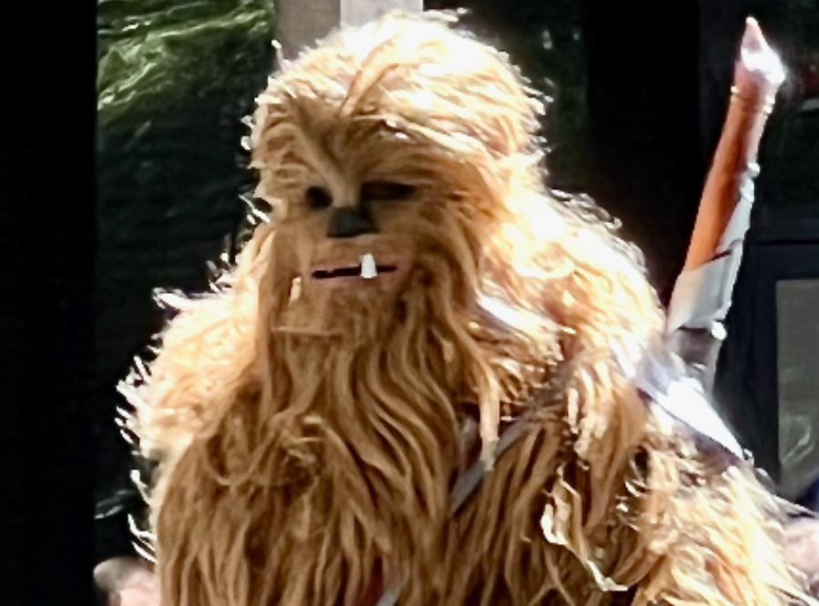 Main Image Supporting the Content of Chewy at DragonCon
